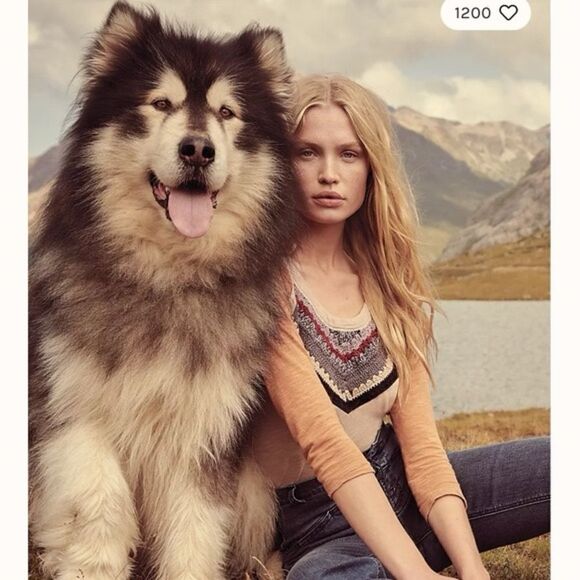 We the free spring bound 3/4th sleeve top - Picture 9 of 9